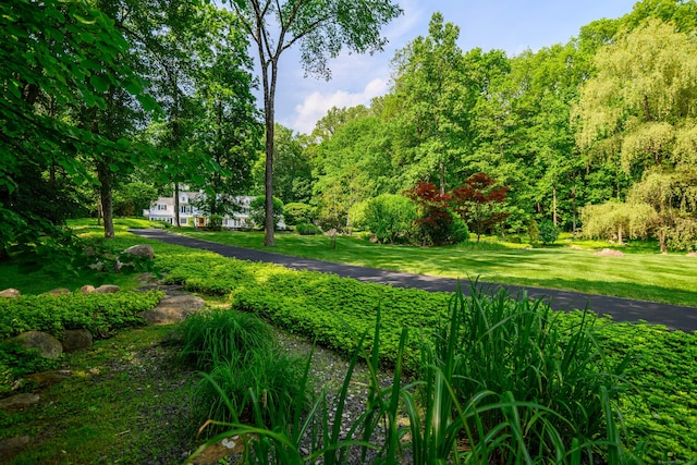 20 Copper Beech Ln, Ridgefield, CT 06877 - view of home's community featuring a yard