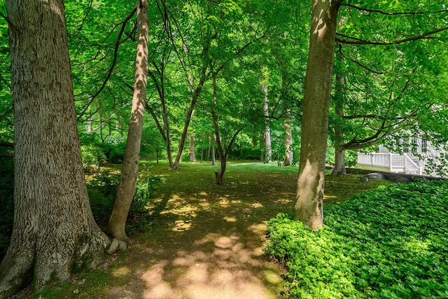 20 Copper Beech Ln, Ridgefield, CT 06877 - view of yard
