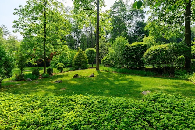 20 Copper Beech Ln, Ridgefield, CT 06877 - view of green lawn