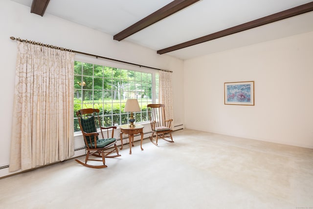 190 Allerton Farms Rd, Middlebury, CT 06762 - sitting room with beam ceiling and carpet flooring