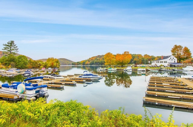 16 Hayestown Rd Unit C205, Danbury, CT 06811 - dock area featuring a water and mountain view