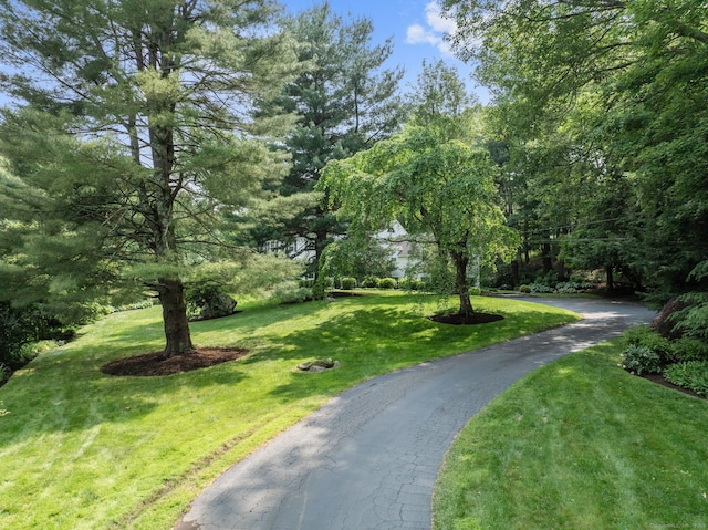 75 Bald Hill Rd, Wilton, CT 06897 - view of property's community featuring a yard