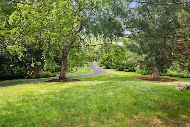 75 Bald Hill Rd, Wilton, CT 06897 - view of green lawn