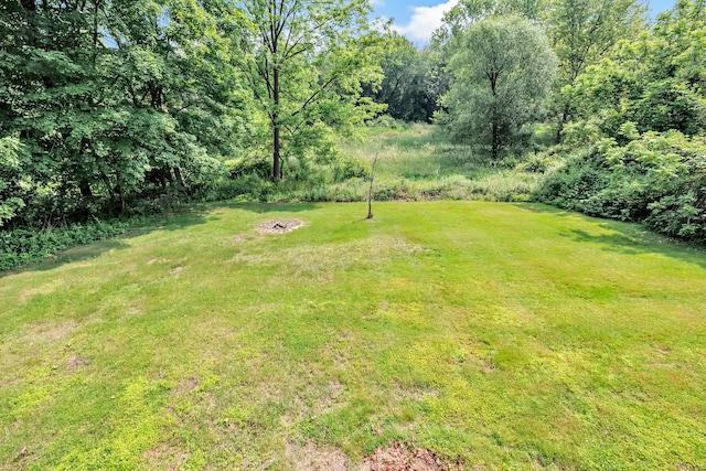120 Huntington St, Shelton, CT 06484 - view of green lawn