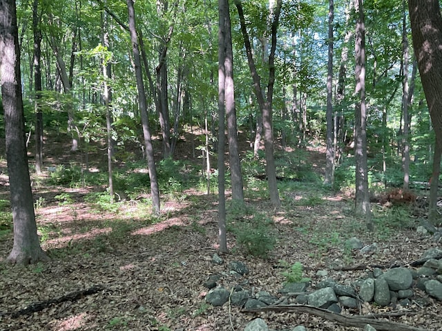 176 Picketts Ridge Rd, Redding, CT 06896