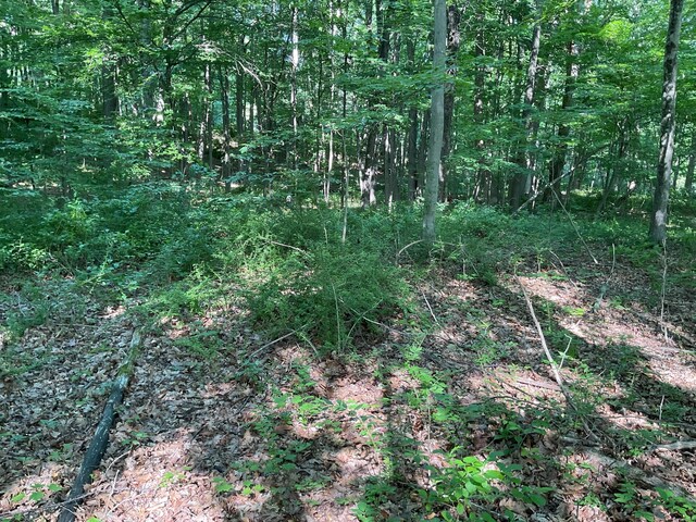 176 Picketts Ridge Rd, Redding, CT 06896