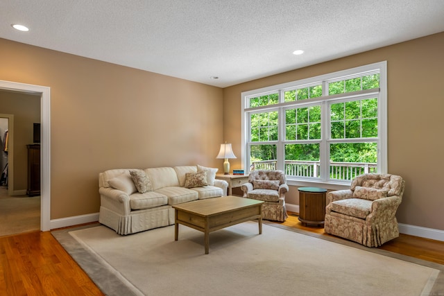 9 Benjamin Ln Unit 9, Tolland, CT 06084 - living area with a textured ceiling, wood finished floors, baseboards, and recessed lighting