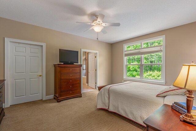 9 Benjamin Ln Unit 9, Tolland, CT 06084 - bedroom with light colored carpet, a ceiling fan, connected bathroom, and baseboards