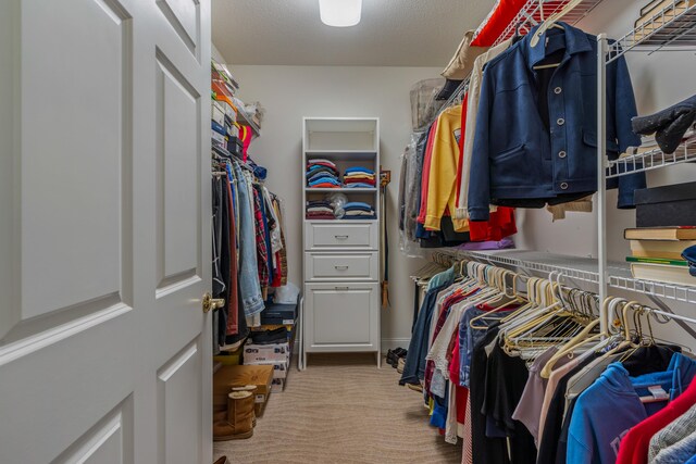 9 Benjamin Ln Unit 9, Tolland, CT 06084 - walk in closet featuring carpet flooring