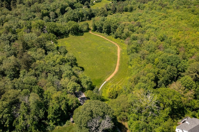 9 Benjamin Ln Unit 9, Tolland, CT 06084 - bird's eye view of a heavily wooded area