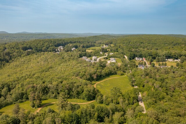 9 Benjamin Ln Unit 9, Tolland, CT 06084 - aerial view of a heavily wooded area