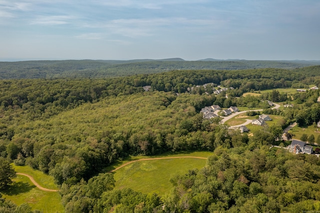 9 Benjamin Ln Unit 9, Tolland, CT 06084 - aerial view of a forest