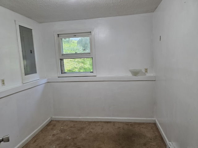 46 Richardson Hill Rd, Griswold, CT 06351 - carpeted spare room with electric panel and a textured ceiling