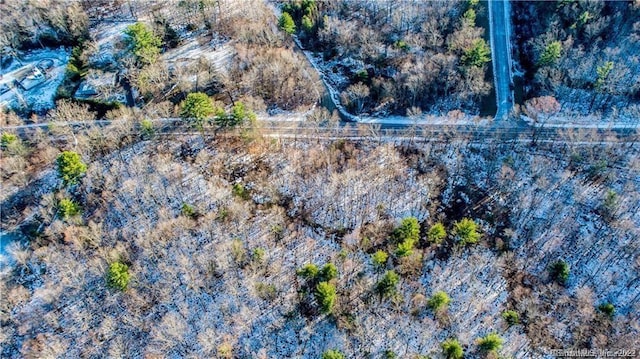 Tolland Stage Rd, Tolland, CT 06084 - photo 7