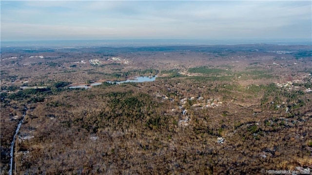 Tolland Stage Rd, Tolland, CT 06084 - photo 9