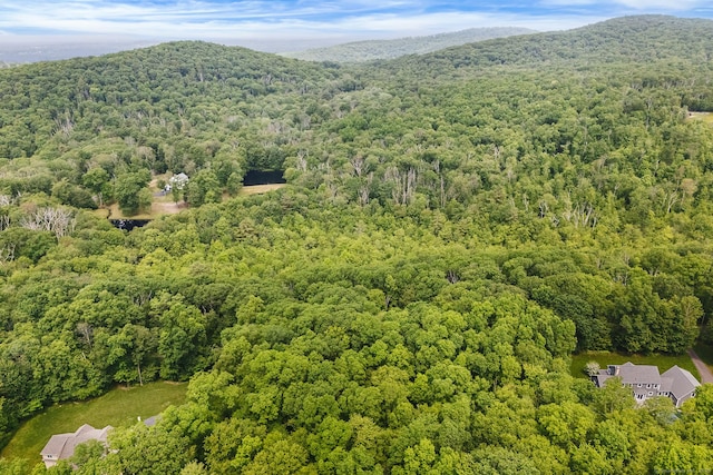 58 Rocky Dundee Rd, Somers, CT 06071