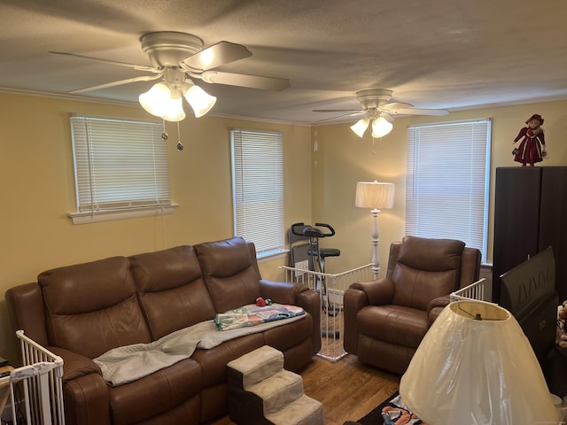 323 Harland Rd, Norwich, CT 06360 - living room with a ceiling fan, wood finished floors, and crown molding