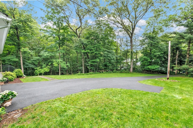 6 Buckboard Ln, Fairfield, CT 06824 - view of green lawn featuring a view of trees