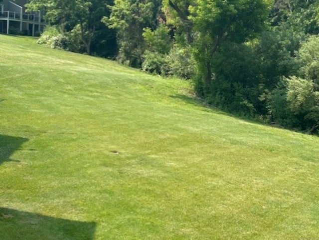 749 Long Hill Rd Unit A, Middletown, CT 06457 - view of grassy yard