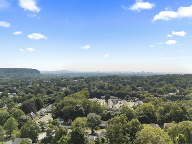 96 Long Hill Ter, New Haven, CT 06515 - aerial view of a heavily wooded area