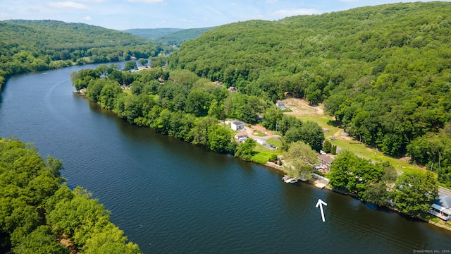 137 Roosevelt Dr, Seymour, CT 06483 - aerial view of a heavily wooded area and a nearby body of water