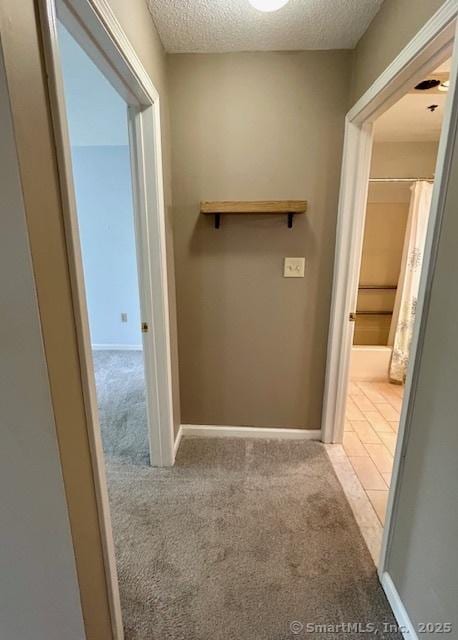 625 Palisado Ave Apt 206, Windsor, CT 06095 - walk in closet with carpet flooring