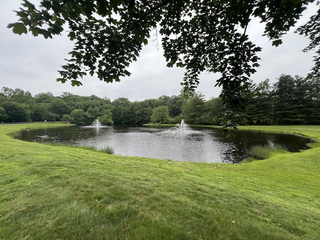 27 Rolling Ridge Rd Unit 27, Monroe, CT 06468 - water view with a heavily wooded area