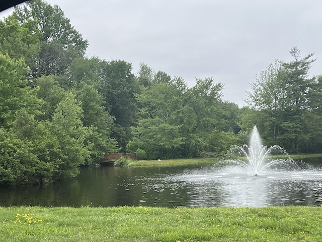 27 Rolling Ridge Rd Unit 27, Monroe, CT 06468 - water view featuring a heavily wooded area