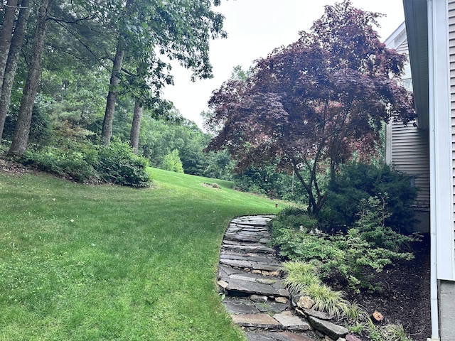 20 Summerwood Rdg, Tolland, CT 06084 - photo 10