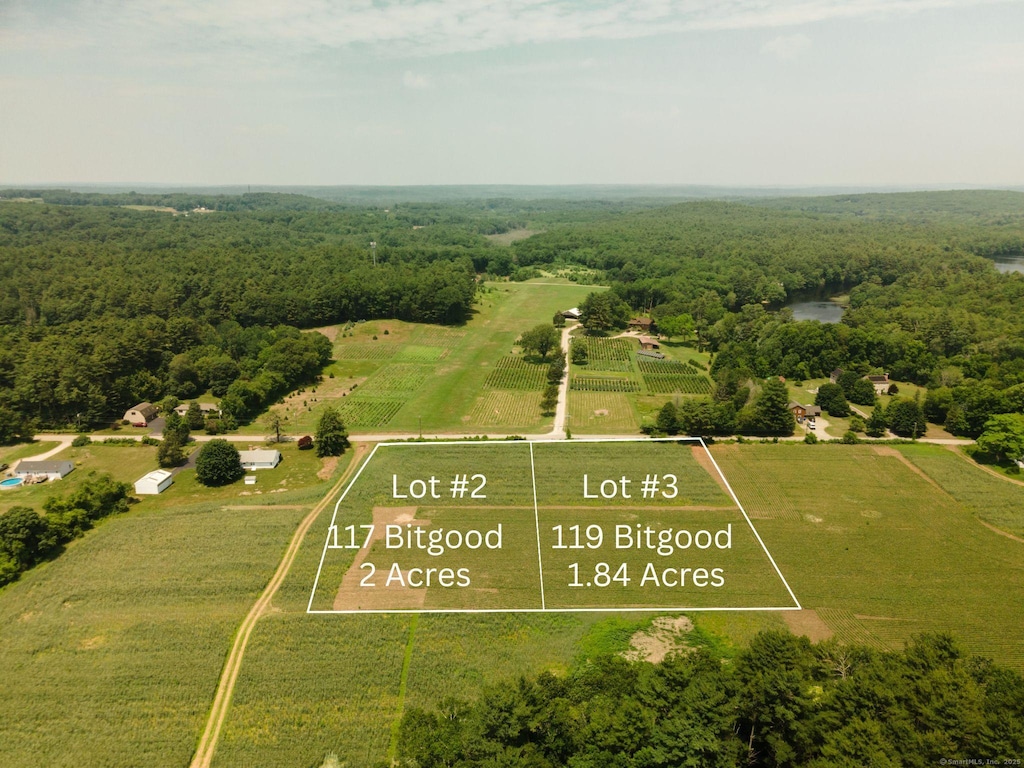 119 Bitgood Rd, Griswold, CT 06351 - aerial view of property and surrounding area featuring a forest and property boundaries highlighted