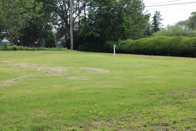 10 Liberty St, Plymouth, CT 06786 - photo 5