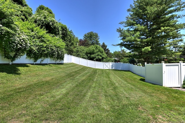 50 Sea Hill Rd, North Branford, CT 06471 - view of yard