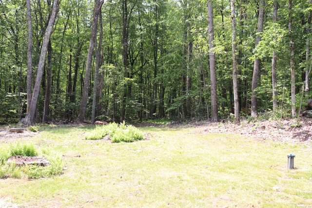 197 New Rd, Tolland, CT 06084 - view of yard