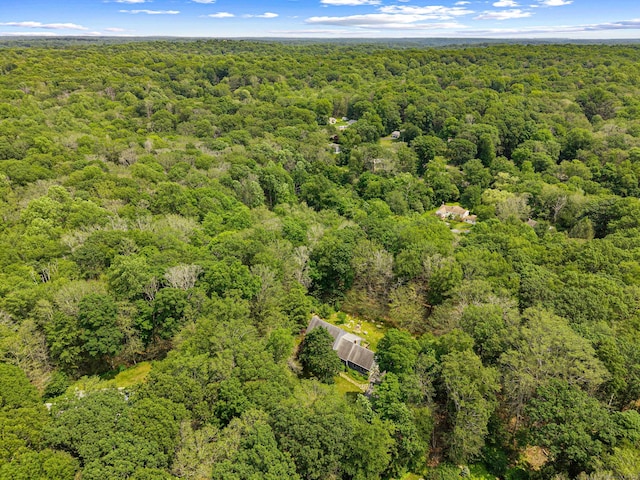 37 Sheffield Ln, Madison, CT 06443 - bird's eye view of a forest