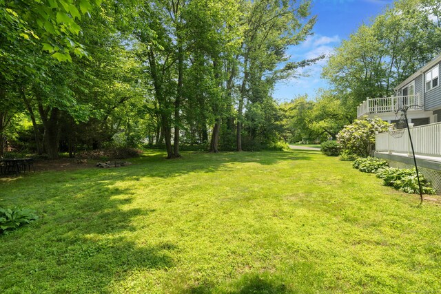 43 Hall Rd, Easton, CT 06612 - view of green lawn