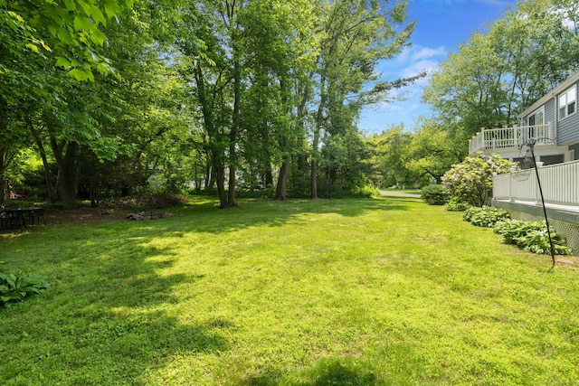 43 Hall Rd, Easton, CT 06612 - view of green lawn