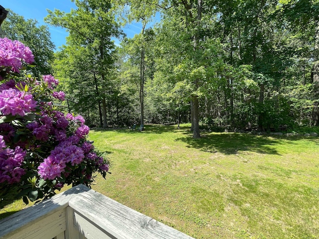 8 Highpoint Ct Unit 8, Woodbury, CT 06798 - view of grassy yard
