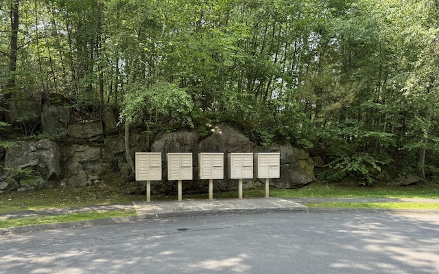 30 Seymour Rd Apt D3, Plymouth, CT 06786 - view of home's community featuring mail area