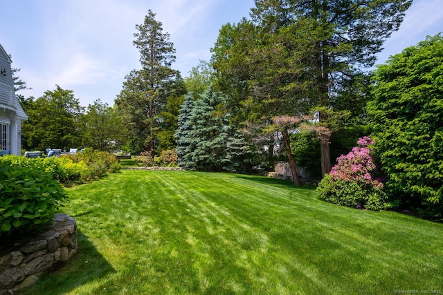 3 Bittersweet Trl, Norwalk, CT 06853 - view of grassy yard