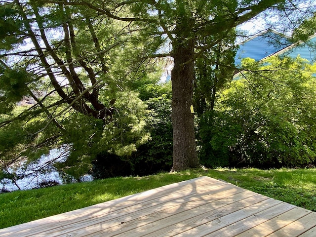 64 Copper Beech Dr Unit 64, Rocky Hill, CT 06067 - view of deck