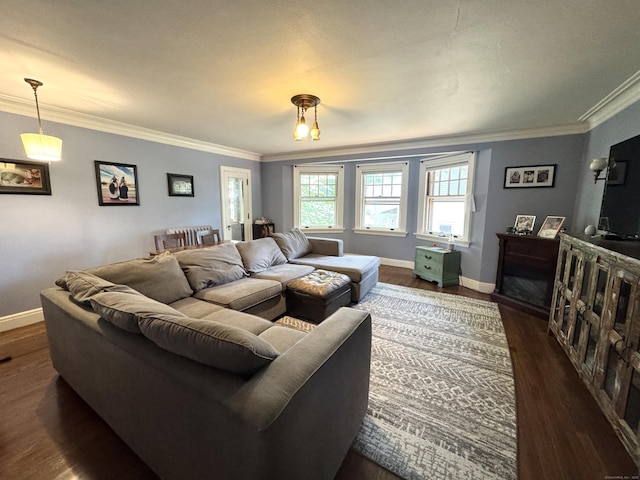 160 Kenyon St, Hartford, CT 06105 - living room featuring ornamental molding, dark wood finished floors, and baseboards