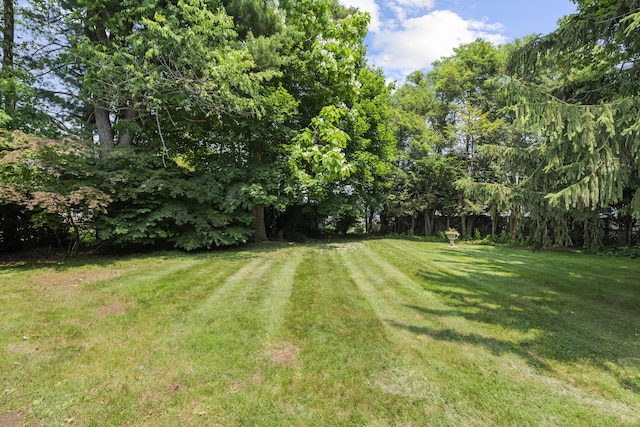 26 Caroldon Rd, Middletown, CT 06457 - view of green lawn