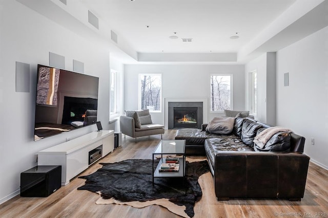 4 Vona Way, Newtown, CT 06470 - living area with a glass covered fireplace, light wood finished floors, and a tray ceiling