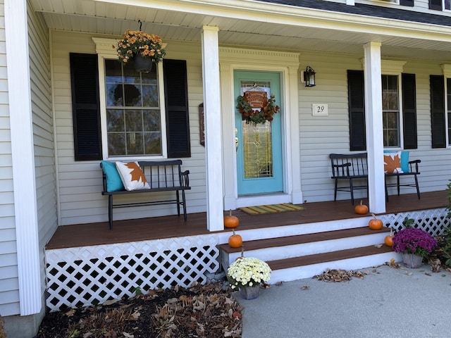 29 Meadowbrook Dr, Brooklyn, CT 06234 - view of exterior entry with covered porch