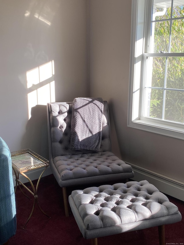 29 Meadowbrook Dr, Brooklyn, CT 06234 - sitting room with carpet flooring