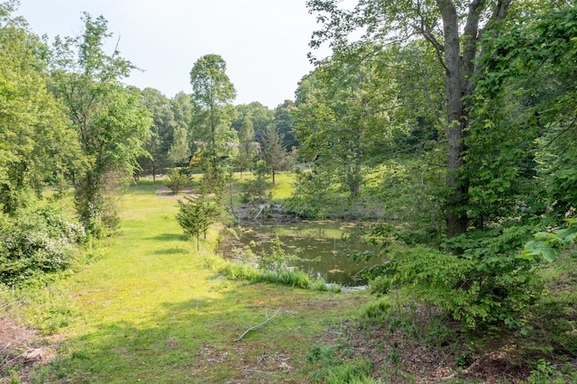 501 Taylor Hill Rd, Griswold, CT 06351 - view of tree filled area featuring a water view