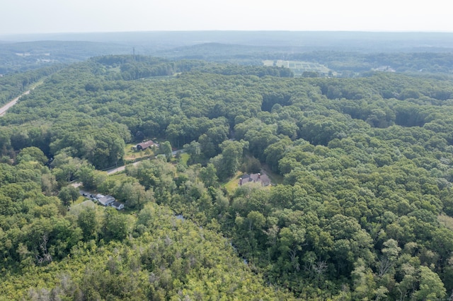 501 Taylor Hill Rd, Griswold, CT 06351 - bird's eye view of a forest