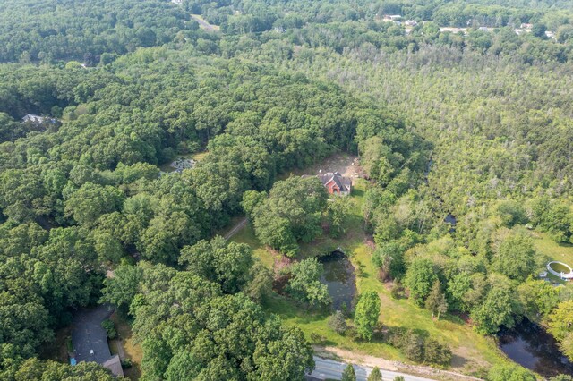 501 Taylor Hill Rd, Griswold, CT 06351 - view of property location featuring a heavily wooded area