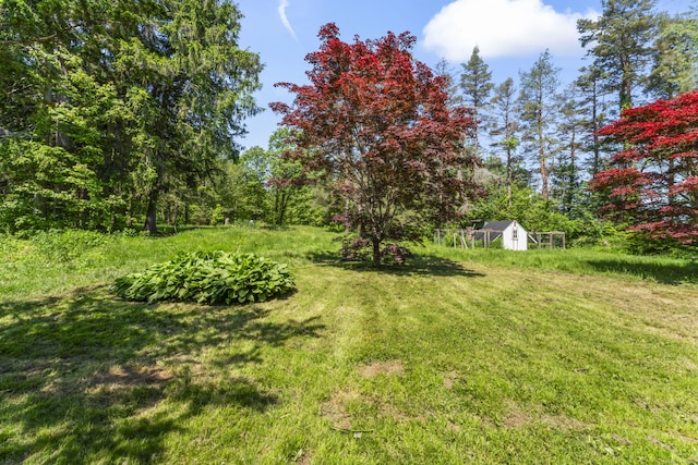 373 Westside Rd, Torrington, CT 06790 - view of green lawn featuring an outbuilding