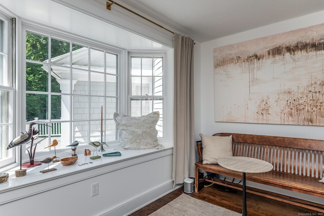 59 Davids Hill Rd, Woodbury, CT 06798 - living area featuring dark wood-type flooring